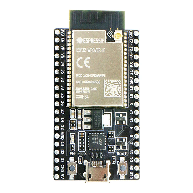 esp32 foto frontal